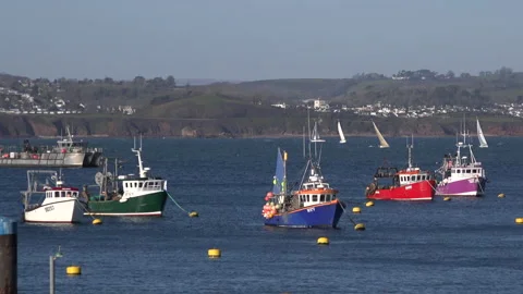 Fishing boats Brixham Devon harbour town south coast England UK 4K Vidéo 232865301