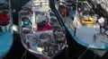 Fishing boats with a catch in the port city of Paphos Cyprus HD Footage
