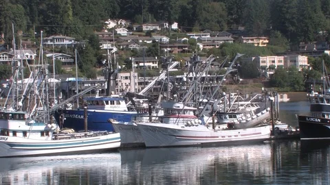 Fishing boats at dock Stock Footage 116991515