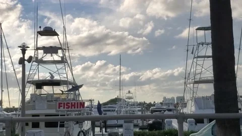 Fishing boats at dock. Stock-Footage 154137064