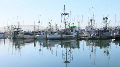 Fishing boats at dock with reflection on water Stock Footage 154064149