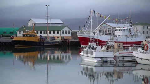 Fishing Boats Docked in Harbor Stock Footage 149276447