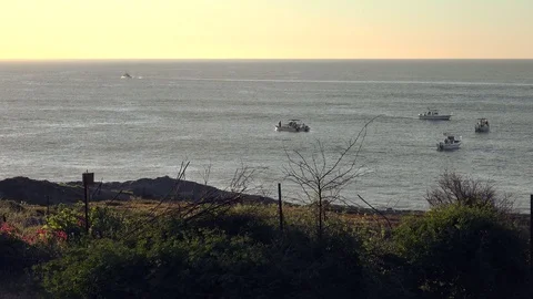 Fishing boats finding the perfect spot at sunrise. Los Cabos, Mexico. Stock Footage 109138546