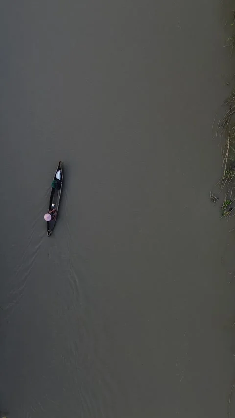 Fishing Boats Floating on the River in the Forest Stock Footage 263332014