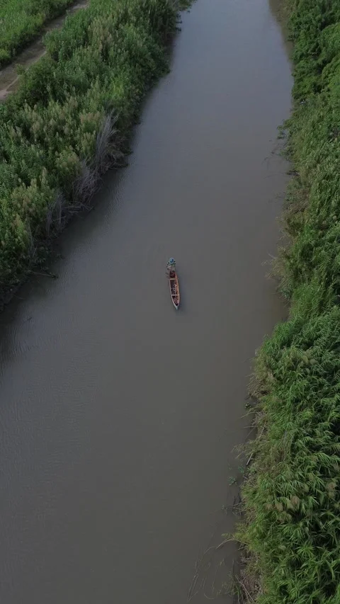 Fishing Boats Floating on the River in the Forest Video stock 263336458
