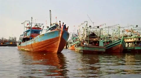 Fishing Boats Video stock 7764245