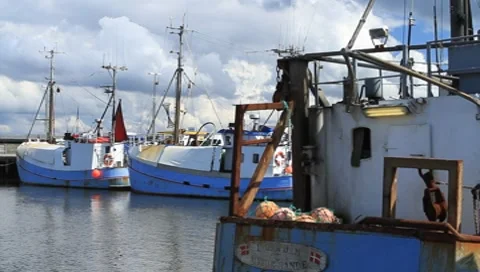 Fishing boats Stock Footage 8524900