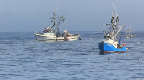 Fishing Boats 库存影片 10595292