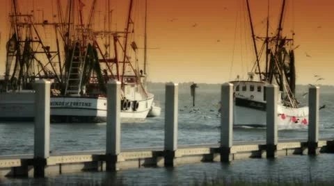 Fishing Boats Video stock 12402976