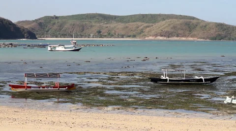 Fishing boats Stock Footage 27490468