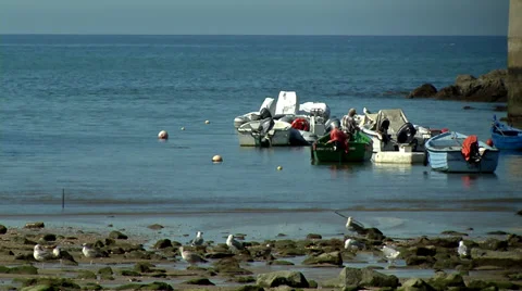 Fishing boats Stock Footage 32622504