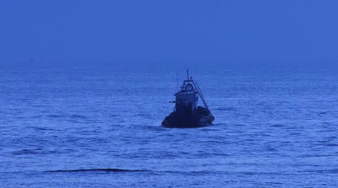 Fishing Boats Video stock 40715138