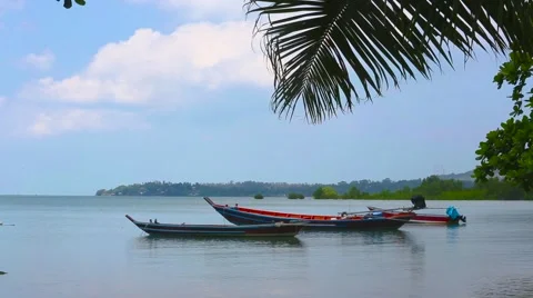 Fishing boats Stock Footage 60990383