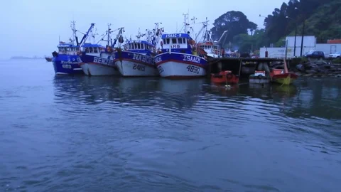 Fishing boats Stock Footage 77046852