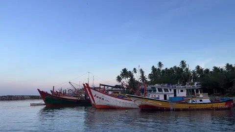 Fishing boats Video stock 245889849