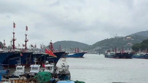 Fishing boats Stock-Footage 313347983