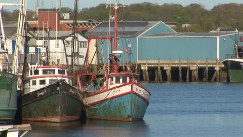 Fishing boats Gloucester harbor in in Gloucester, Massachusetts USA Stock Footage 101856861