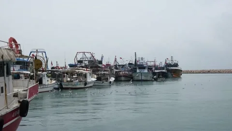 Fishing boats in the harbor Stock Footage 230187750