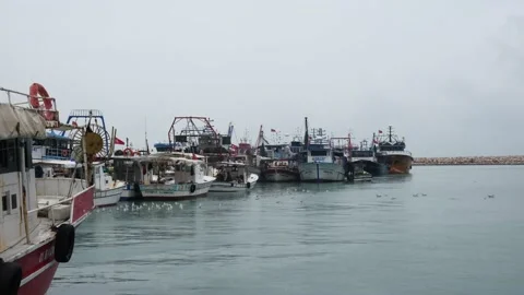 Fishing boats in the harbor Stock Footage 230189404