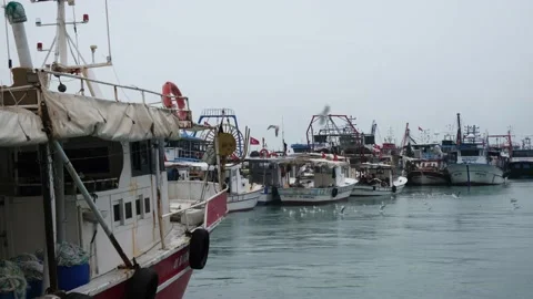 Fishing boats in the harbor Stock Footage 230189673