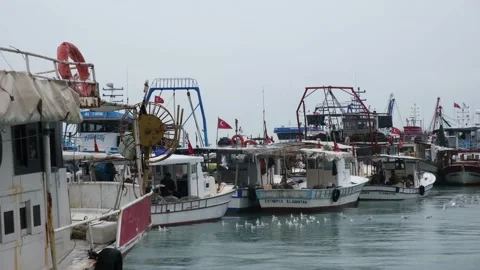 Fishing boats in the harbor Stock Footage 230189723