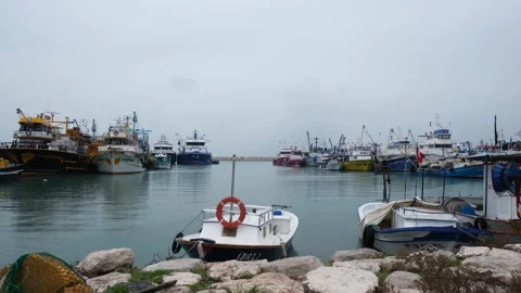Fishing boats in the harbor Stock Footage 230192009