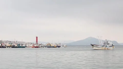 Fishing boats in the harbor Видео 310075908