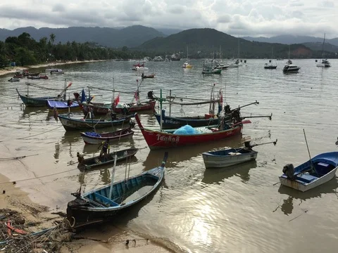 Fishing boats in Koh Samui Stock Footage 71032227