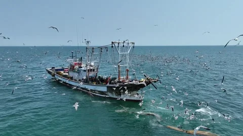 Fishing boats in the ocean Video stock 306040324