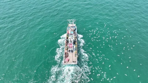 Fishing boats in the ocean Video stock 306040329