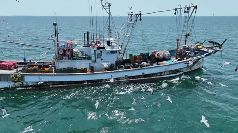 Fishing boats in the ocean Video stock 306040340