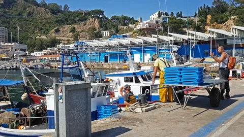 Fishing boats in port Blanes. catch sea delicacies Stock Footage