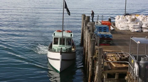 Fishing boats pulling up to Halfmoon Bay on Stewart Island, New Zealand Video stock 55539977
