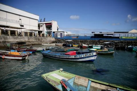 Fishing boats in salvador Stock Photos