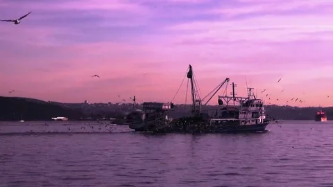 Fishing Boats at sunset Video stock 69074847