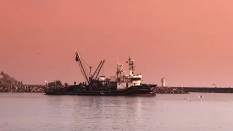 Fishing boats at sunset Stock Footage 87574271