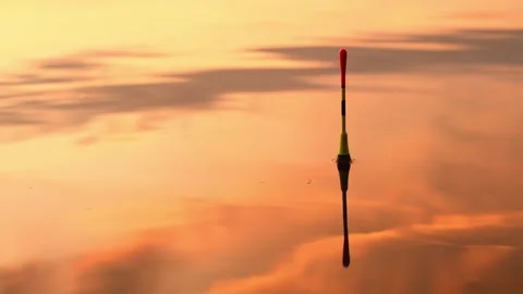 Fishing bobber float floating in the water at sunset. Fishing background Stock Footage 247364444