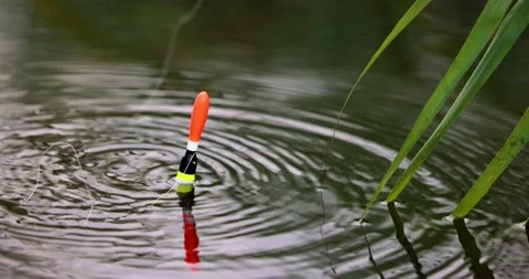 https://images.pond5.com/fishing-bobber-float-throw-water-footage-158289262_iconl.jpeg