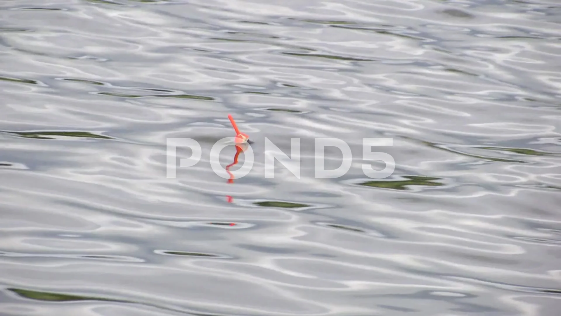 Fishing bobber floating in the water., Stock Video