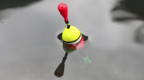 Fishing bobber. Stock Footage 48761021