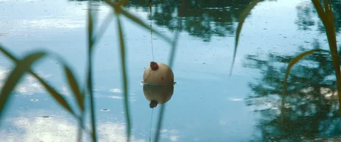 Fishing Bobber Stock Footage 87446036