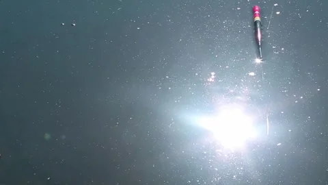 Fishing Bobber Pulled Underwater by Biting Fish in Pond Stock Footage 340556901