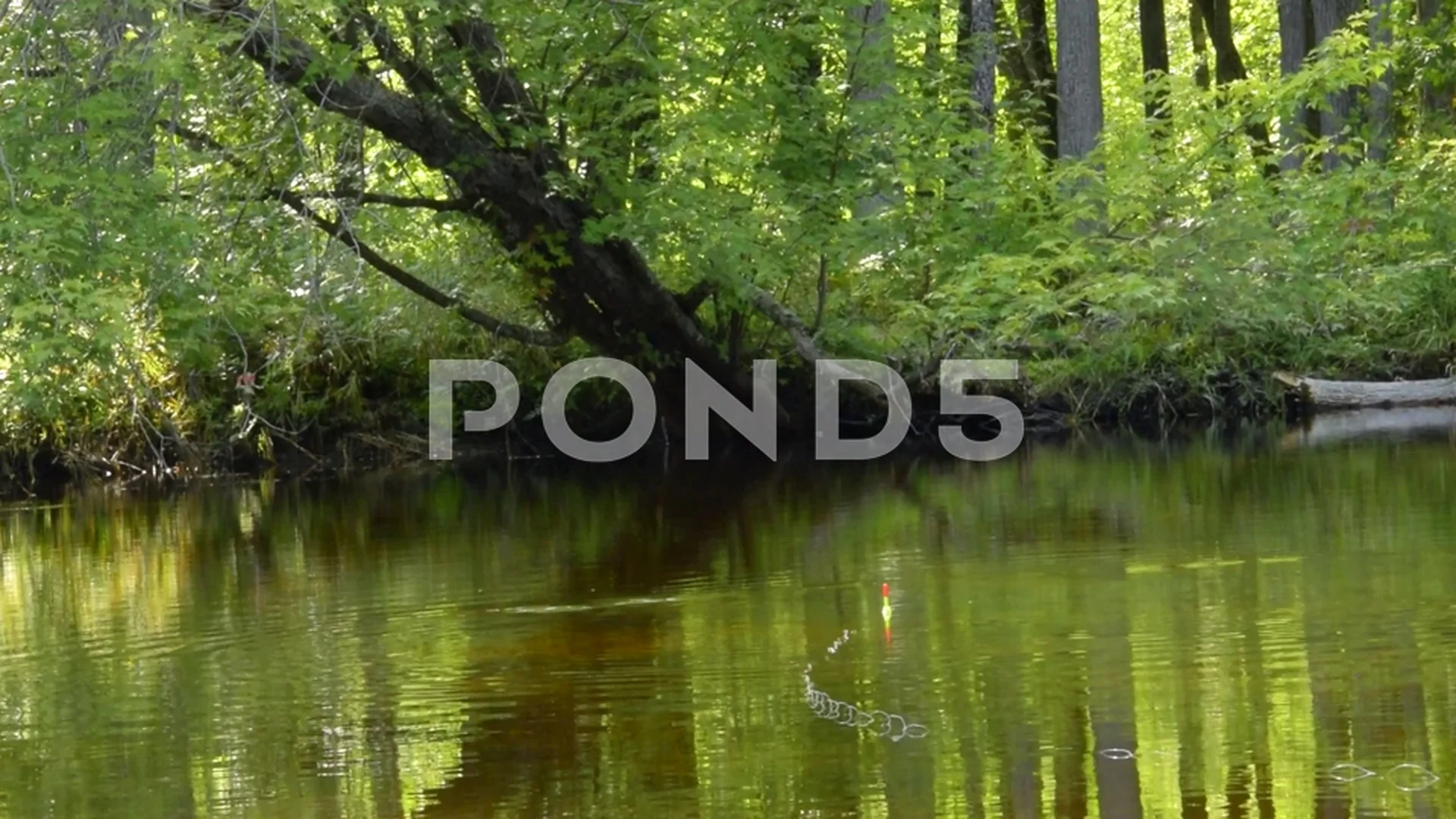 https://images.pond5.com/fishing-bobber-river-water-woods-footage-079407167_prevstill.jpeg