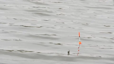 Fishing Pole, Bobber Floating In Lake, Nature Stock Footage ft. bobber &  equipment - Envato Elements