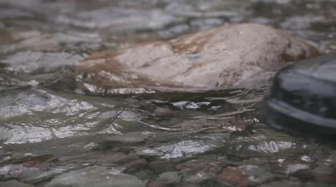 Fishing boot splashing in water Stock Footage 65068779