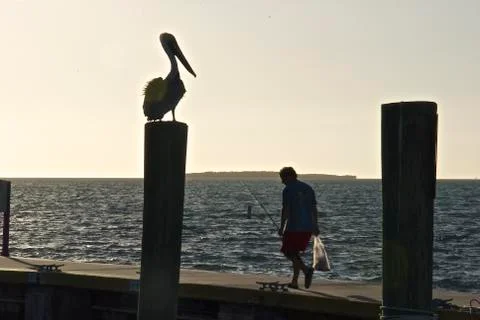 Fishing Buddies Foto stock