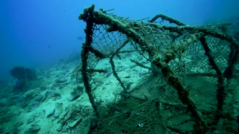 Fishing cage Stock Footage 158201886