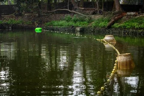 Fishing in a Calm Pond Using Circular Nets Near Vegetation Stock-Fotos