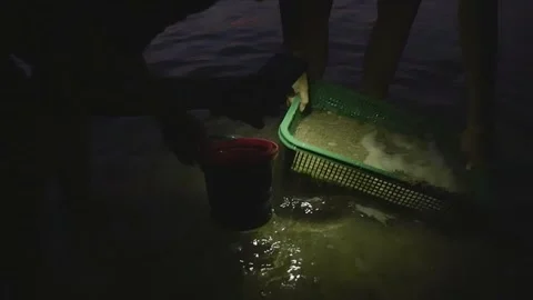 Fishing for crabs at night 動画素材 138667633