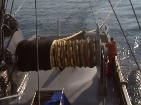 FISHING CREW PULLING SQUID UP IN NET Stock Footage 76584660